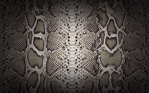 designer wallpaper with snakeskin background